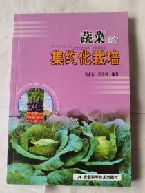 蔬菜的集約化栽培