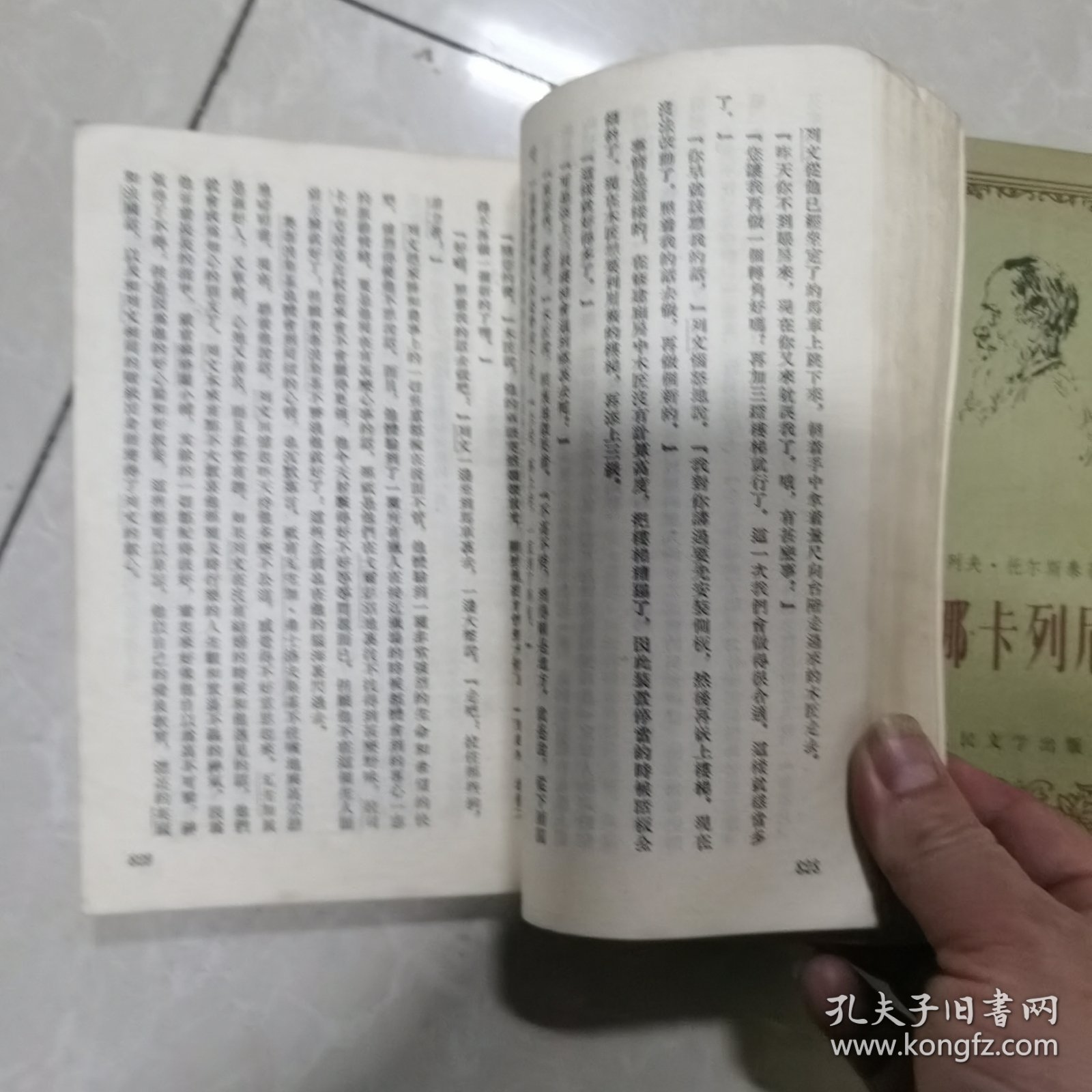 安娜.卡列尼娜上下册