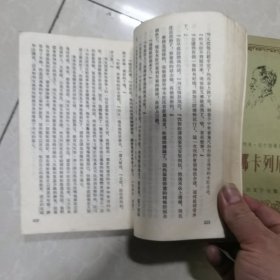 安娜.卡列尼娜上下册