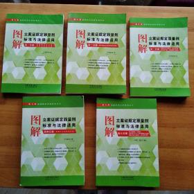 最新执法办案实务丛书：图解立案证据定罪量刑标准与法律适用（第五分册 第九版）