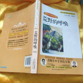 名师1+1导读方案 荒野的呼喊