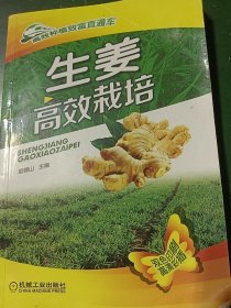 高效种植致富直通车：生姜高效栽培