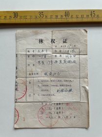 1981年林权证，潼关县高桥人民公社三河大队