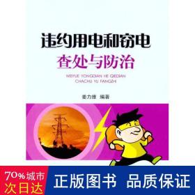 违约用电和窃电查处与防治