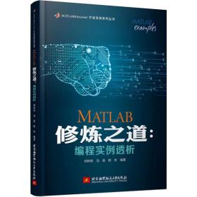 matlab修炼之道:编程实例透析 编程语言  新华正版