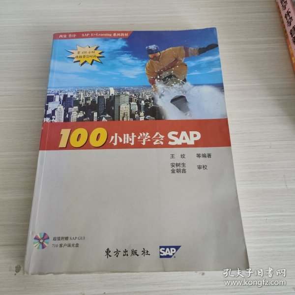 100小时学会SAP