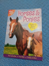 my poster book horses ponies