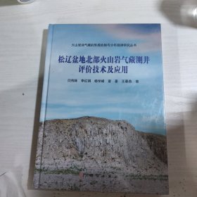 松辽盆地火山岩气藏测井评价技术及应用