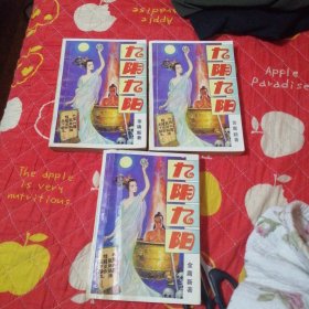 九阴 九阳