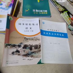 同步轻松练习 语文 九年级 下册 （辽宁专版，附检测卷与参考答案）2021年印刷，品佳