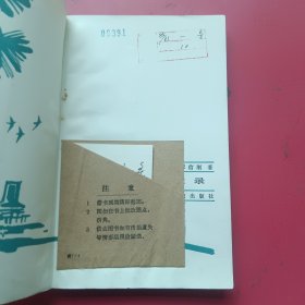 边寨奇趣录