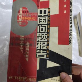 中国问题报告