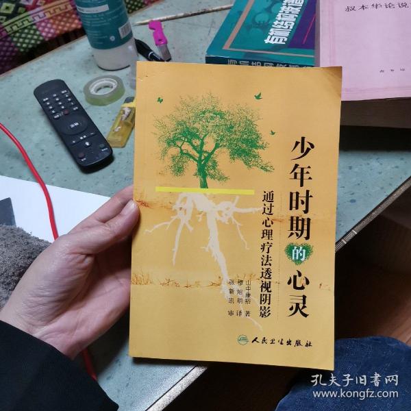 少年时期的心灵：通过心理疗法透视阴影