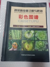 蔬菜病虫害诊断与防治