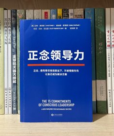 正念领导力（经纬中国创始合伙人邵亦波作序！一本从心出发的领导力之书！）