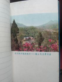 老日记本：向科学进军