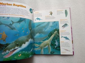 Read, Search & Find：Dinosaurs