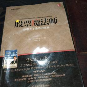 交易大师系列 股票魔法师——纵横天下股市的奥秘