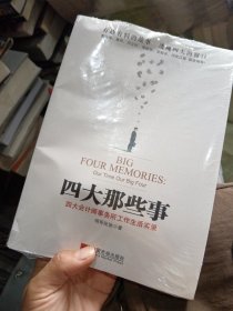 四大那些事：四大会计师事务所工作生活实录