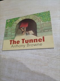The Tunnel 安东尼布朗绘本:隧道