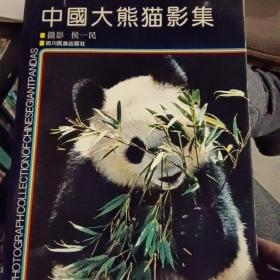 中国大熊猫影集