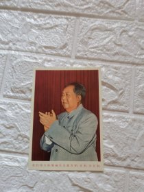毛主席万岁美术明信片1枚<C>