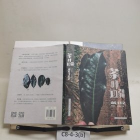 茶叶边疆