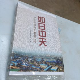 如日中天 中天钢铁集团发展历程