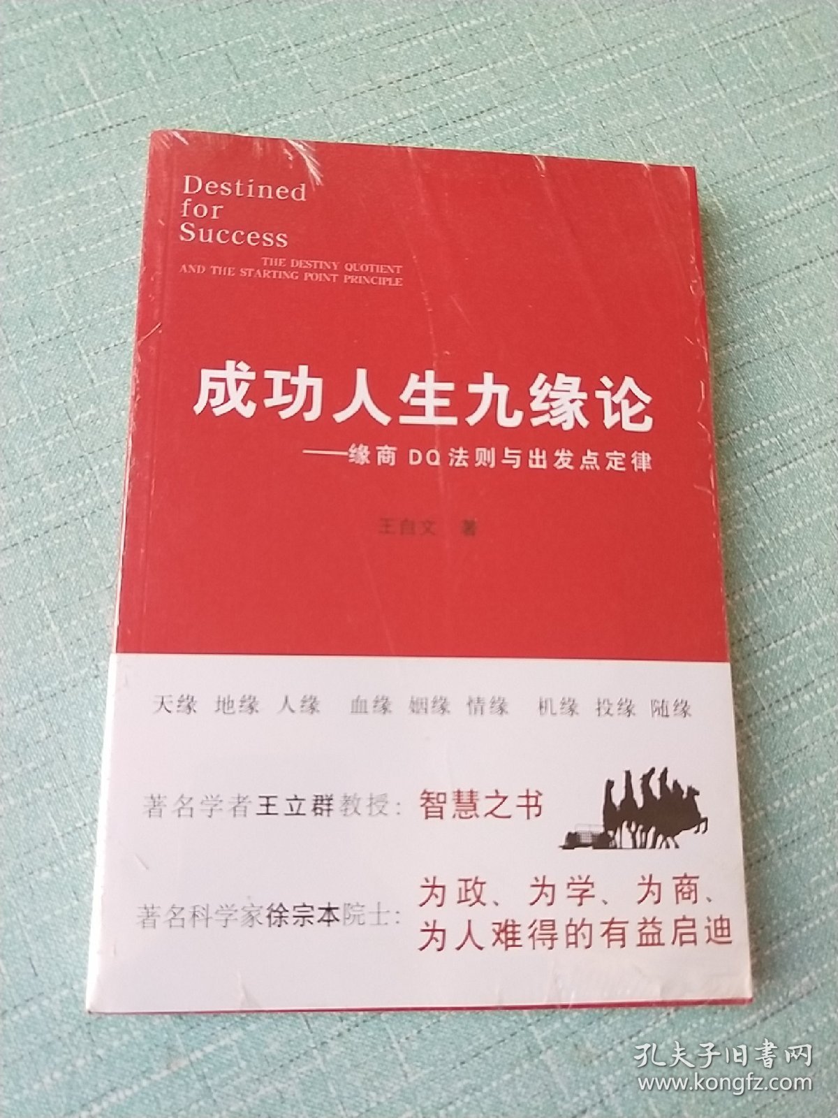 成功人生九缘论：缘商dq法则与出发点定律