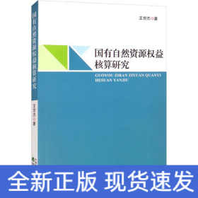 国有自然资源权益核算研究