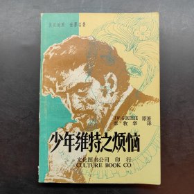 少年維持之煩惱