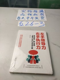 左手领导力 右手执行力：领导要稳执行要狠，优秀中层的15条管理法则