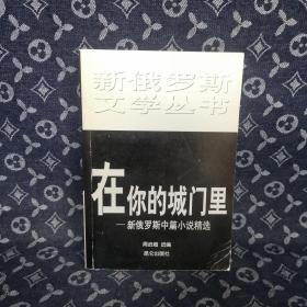 在你的城门里:新俄罗斯中篇小说精选