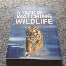A YEAR OF WATCHING WILDLIFE