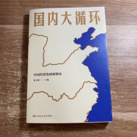 国内大循环 张占斌