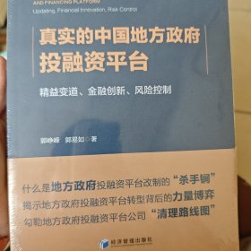 真实的中国地方政府投融资平台