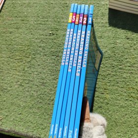 Reading Skills Grade 1-6册（6本）合售 英文原版书1.2有铅笔笔记 其他四本内页全新