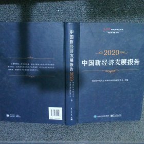 中国新经济发展报告2020
