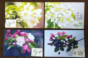 （3）2018年海棠花邮票极限片四枚套（首日纪念戳）