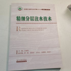 精细分层注水技术