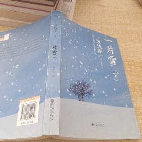 一片雪（全两册）