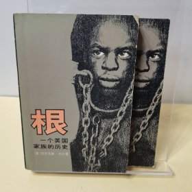 根 一个美国家族的历史