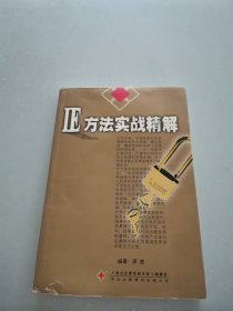 IE方法实战精解