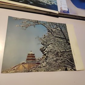 （八开大小单面摄影作品）颐和园雪景——敖恩洪摄