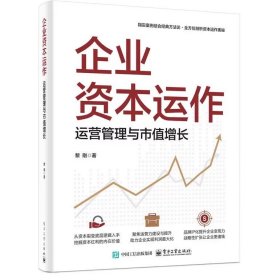 企业资本运作 运营管理与市值增长 黎刚 著 电子工业出版社
