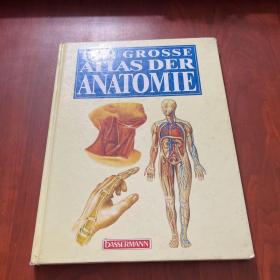 DER GROSSE ATLAS DER ANATOMIE