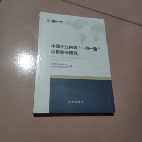 中国企业共建一带一路项目案例研究