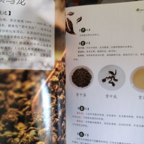 鉴茶・泡茶全图解