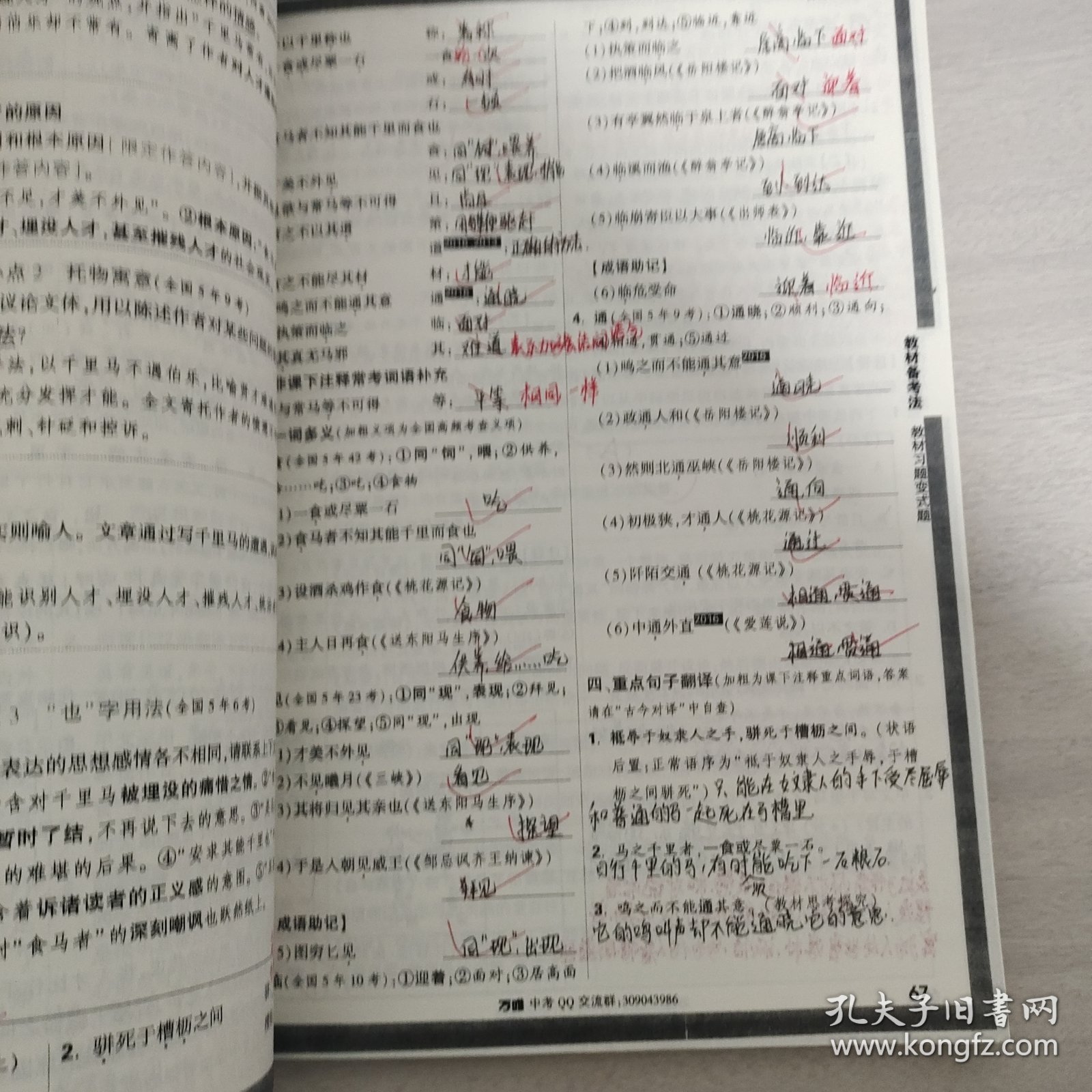 河南中招面对面2024语文