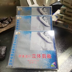 欧美流行立体剪裁 VCD3片装